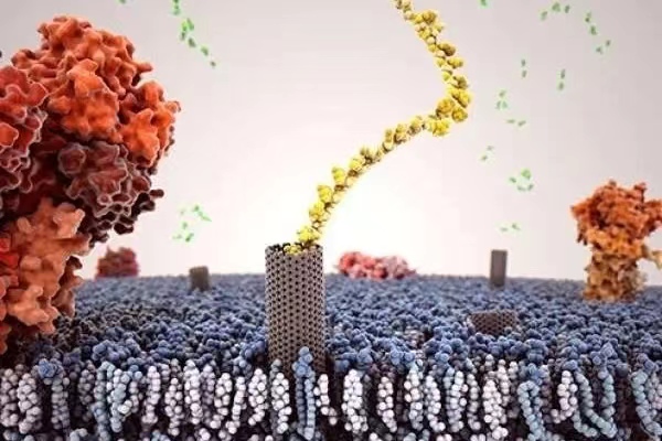 首部生物经济五年规划出炉